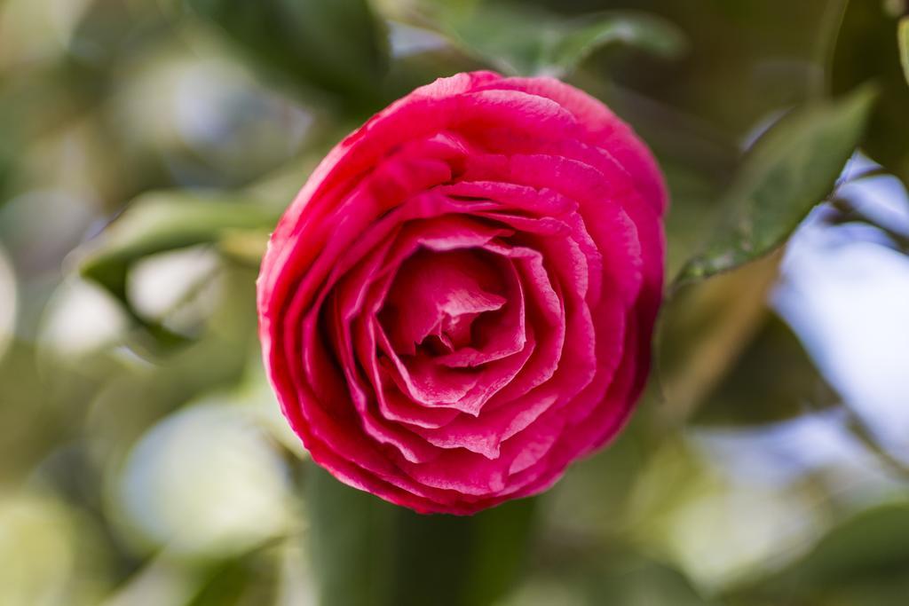 Il Giardino Di Fiorina Hotel โนวาเตมิลาเนเซ ภายนอก รูปภาพ